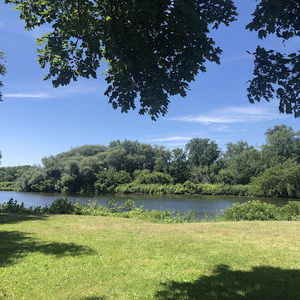 Meet your Posher, Jennie